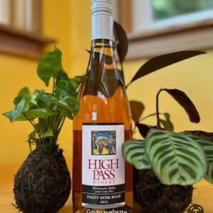 Kokedama Class for 2 with the Florist